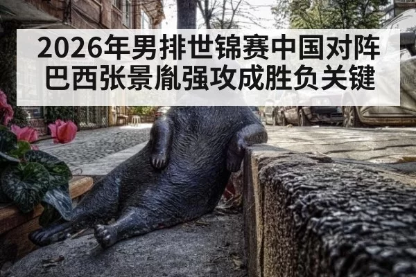 2026年男排世锦赛中国对阵巴西张景胤强攻成胜负关键